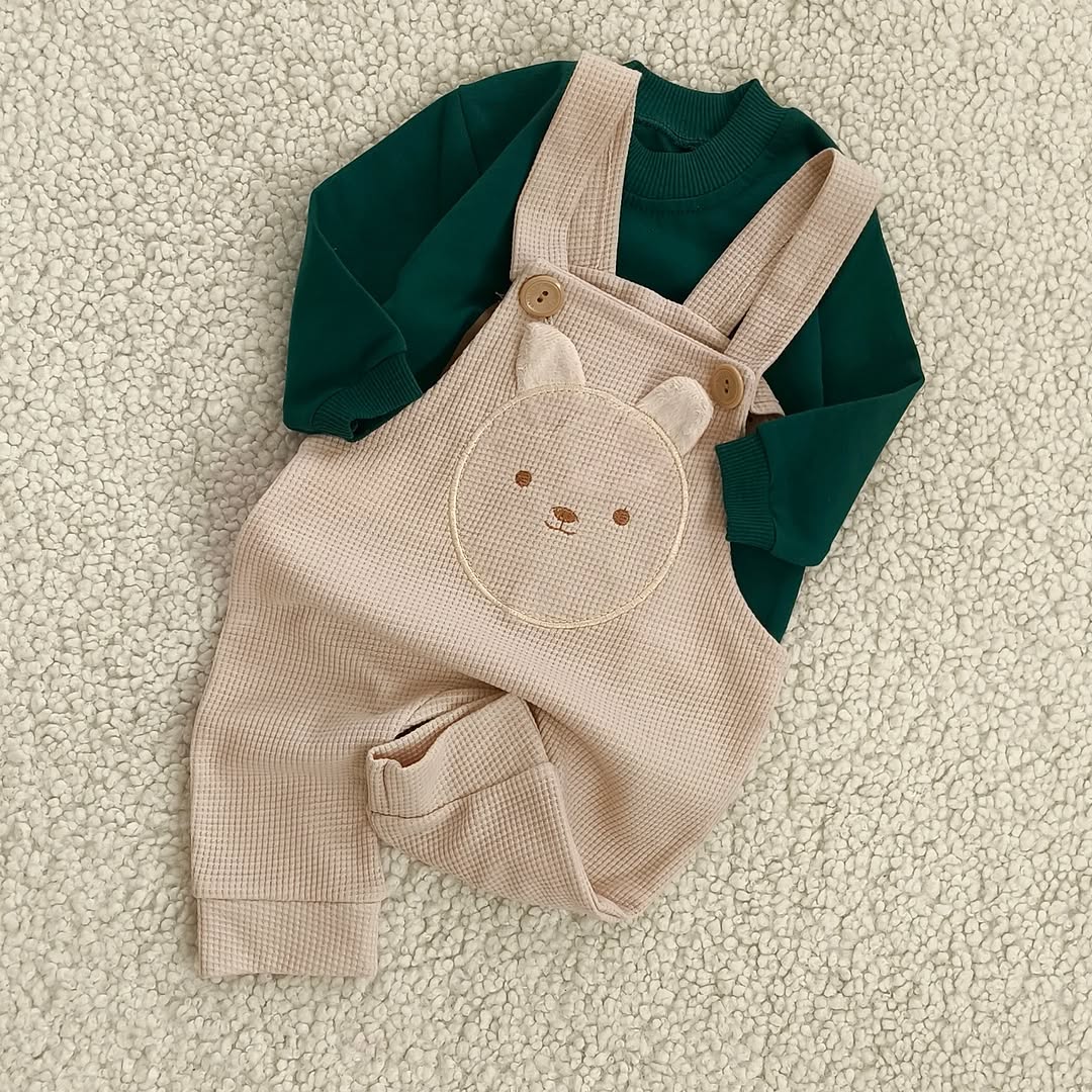 بیلر بیسکویتی خرسی