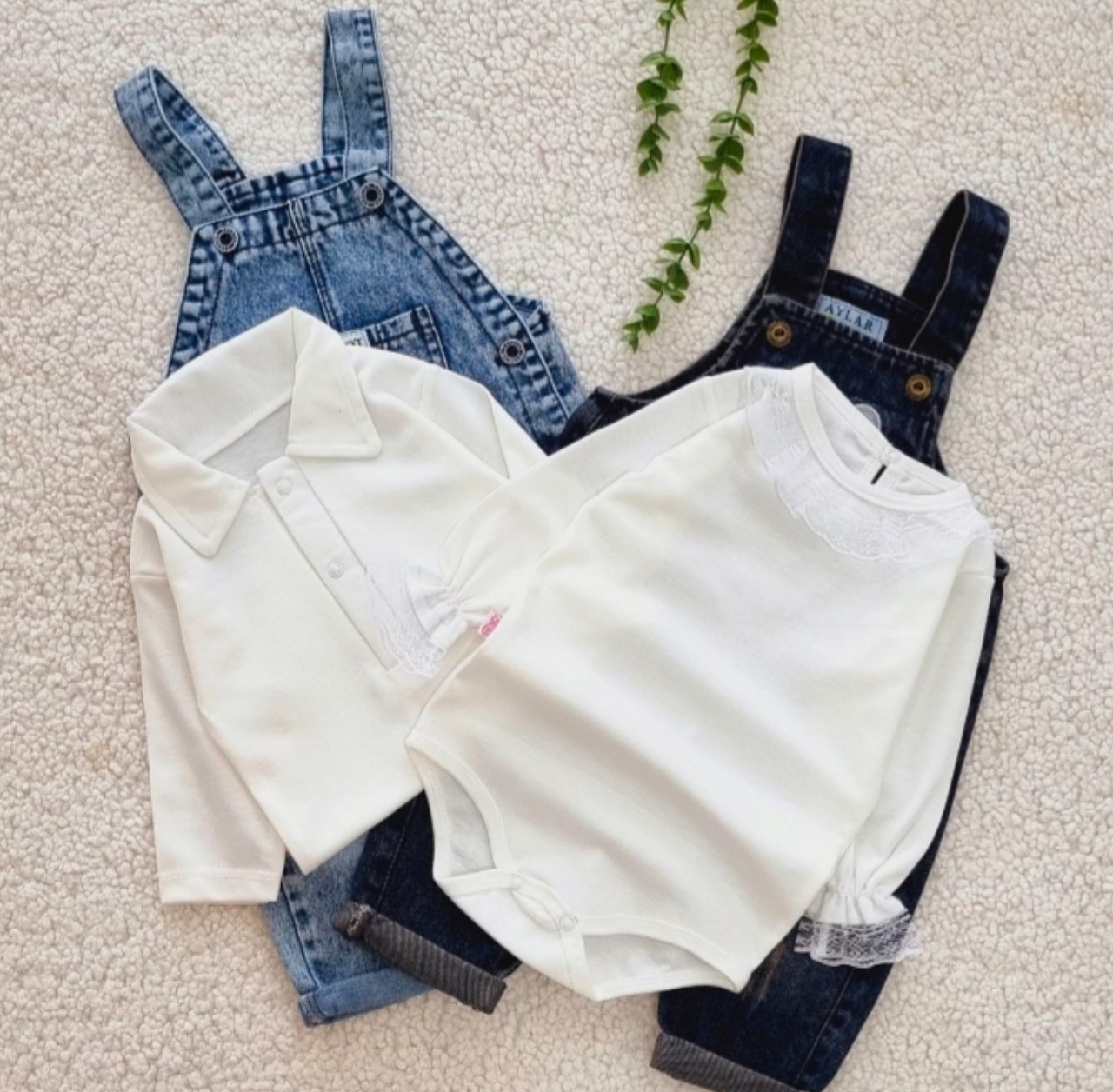 بادی زیردکمه مجلسی